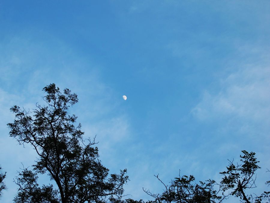 IMG_0183.jpg