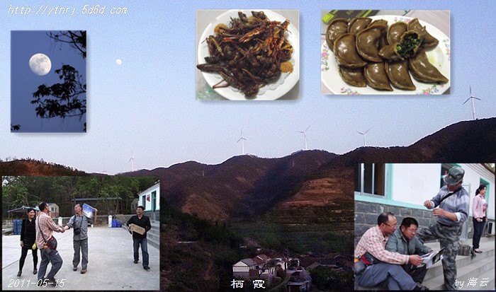 栖霞组图2.jpg