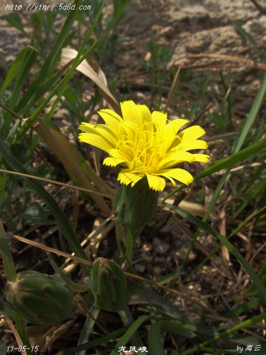 DSCF8292.jpg
