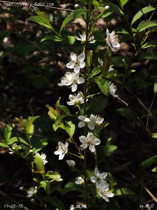 DSCF8311.jpg