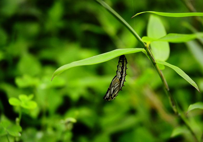 _DSC0463.jpg