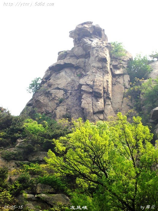 DSCF8226.jpg