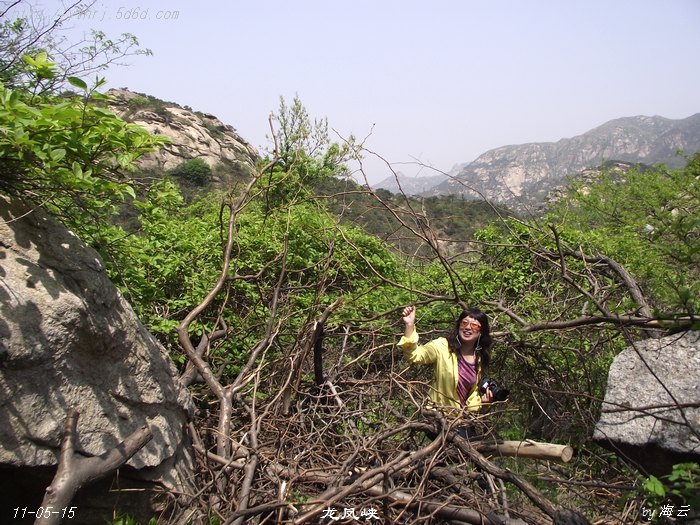 DSCF8340.jpg