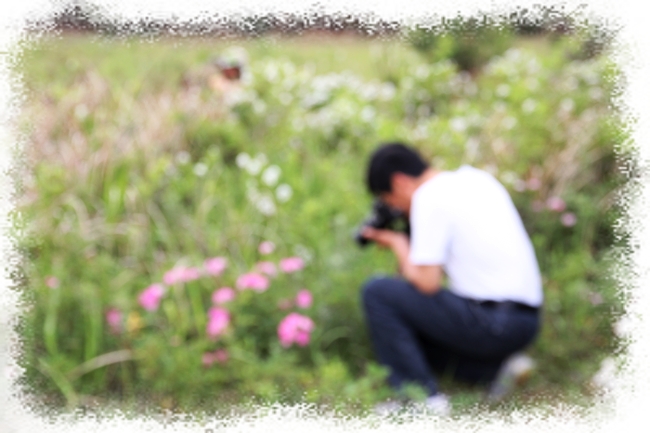 雾里看花.jpg