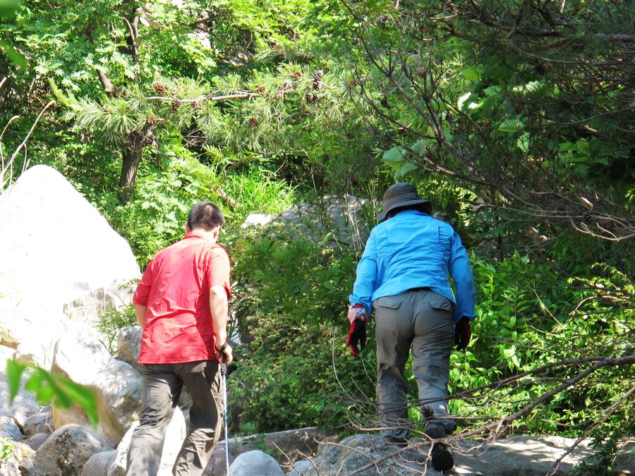 IMG_0253.jpg