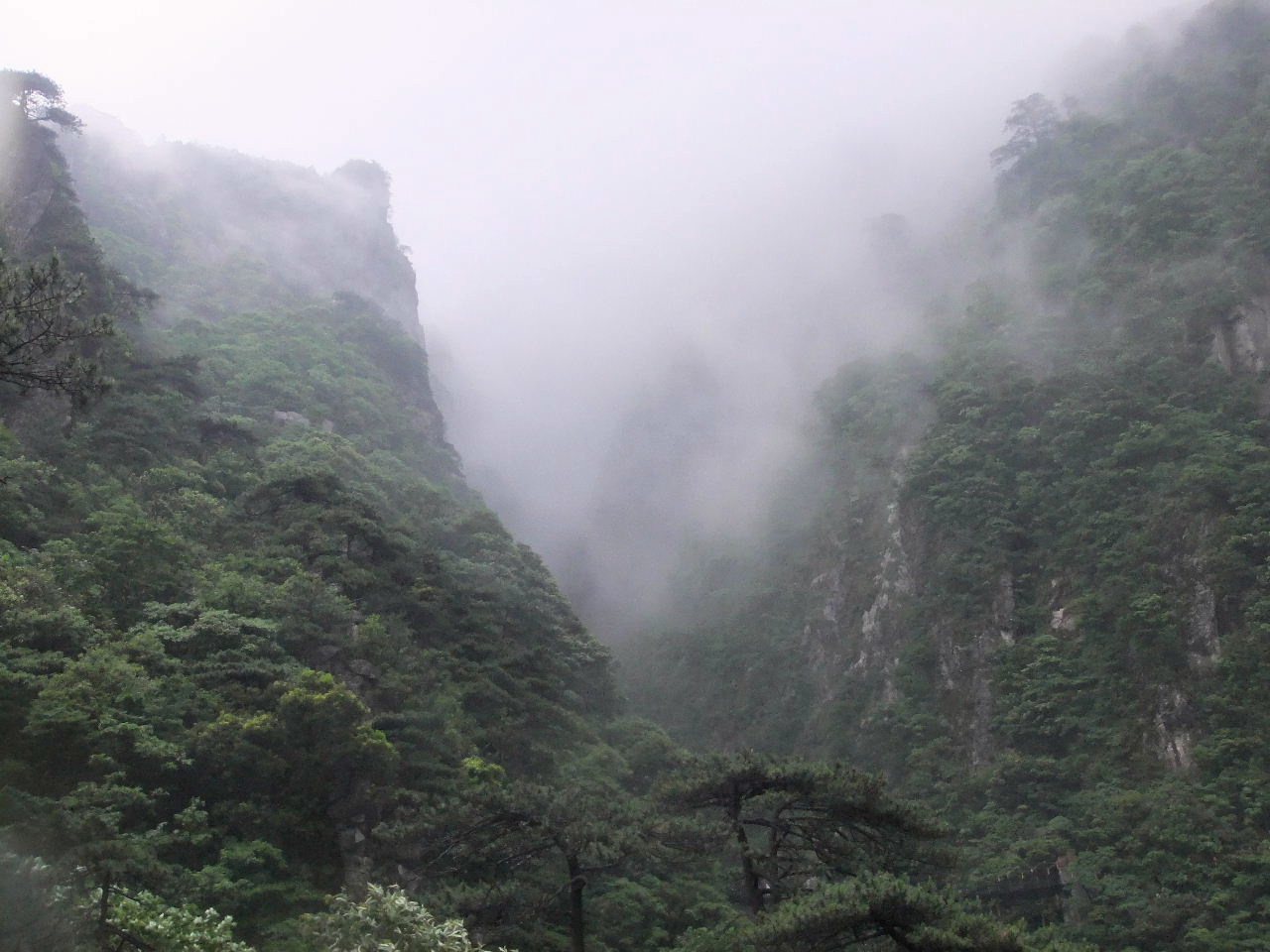 DSCF1844.jpg