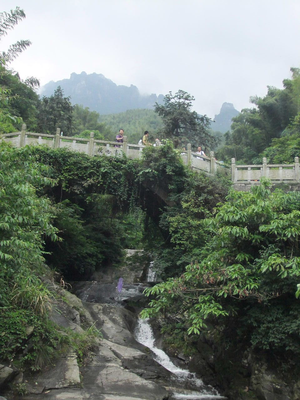 DSCF1879.jpg