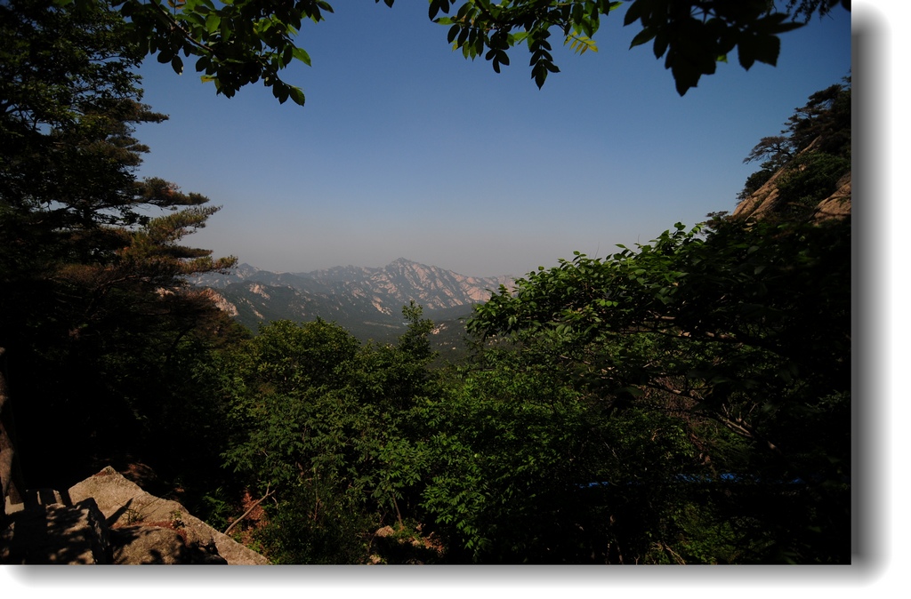 DSC_1890.jpg