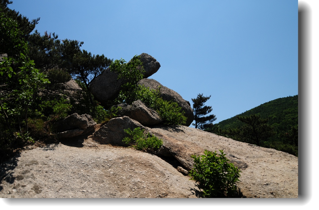 DSC_1901.jpg