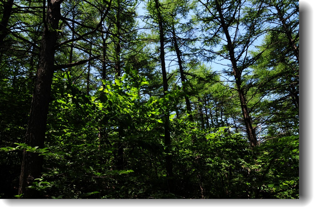 DSC_1939.jpg