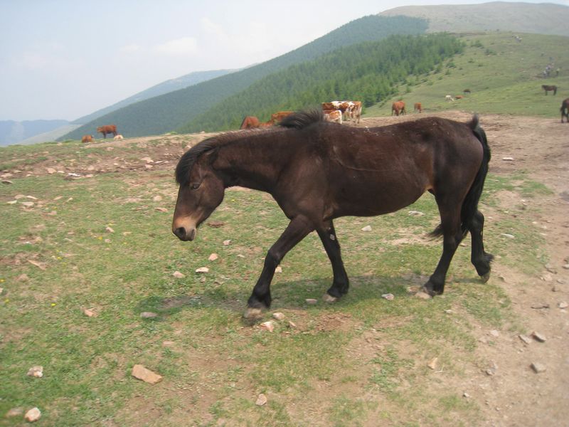 nEO_IMG_IMG_0474.jpg