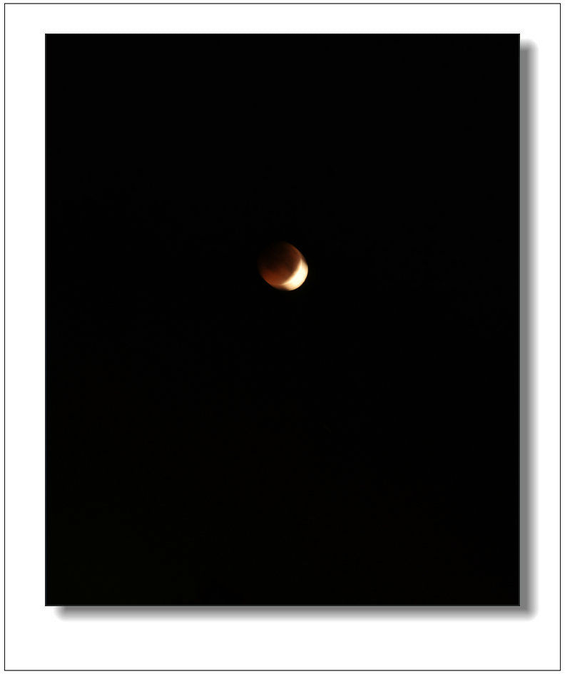DSC_7542.jpg