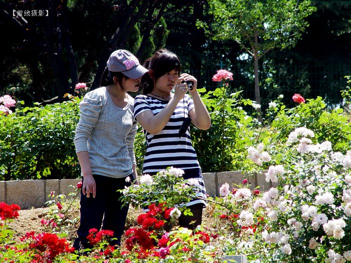 DSC08715-1.jpg