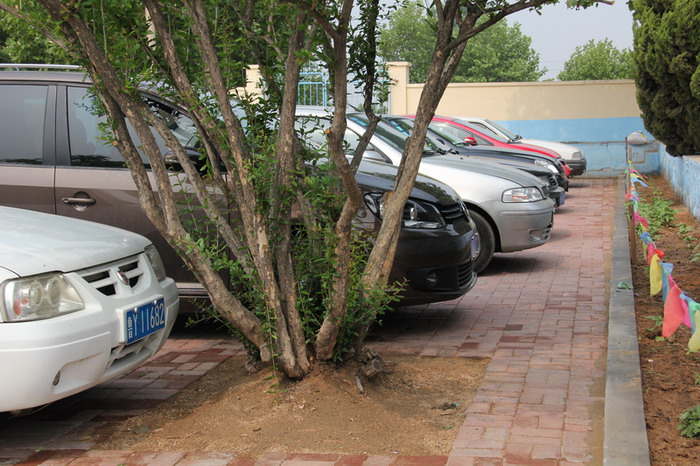 诸嘉小学 003.jpg-02.jpg