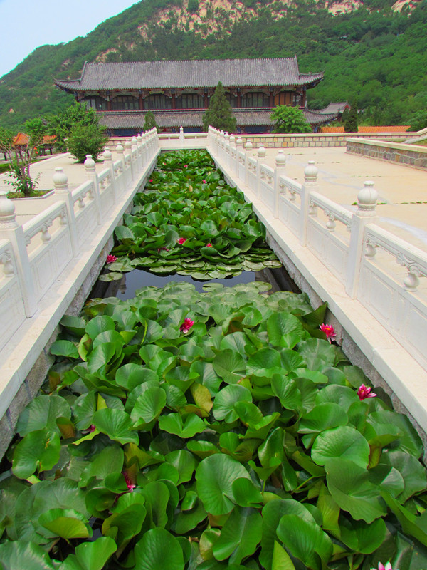 img_0186_副本.jpg