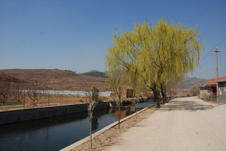 DSC_2061.JPG