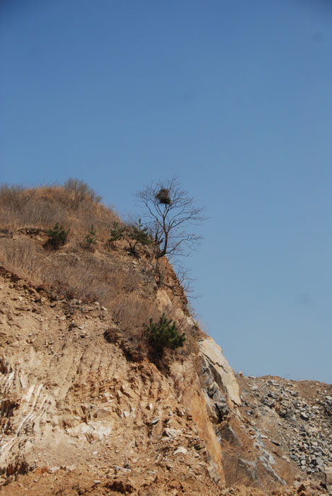 DSC_2112.JPG