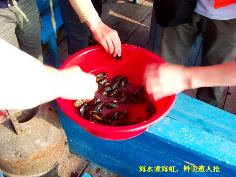 100_3158_缩小大小.JPG