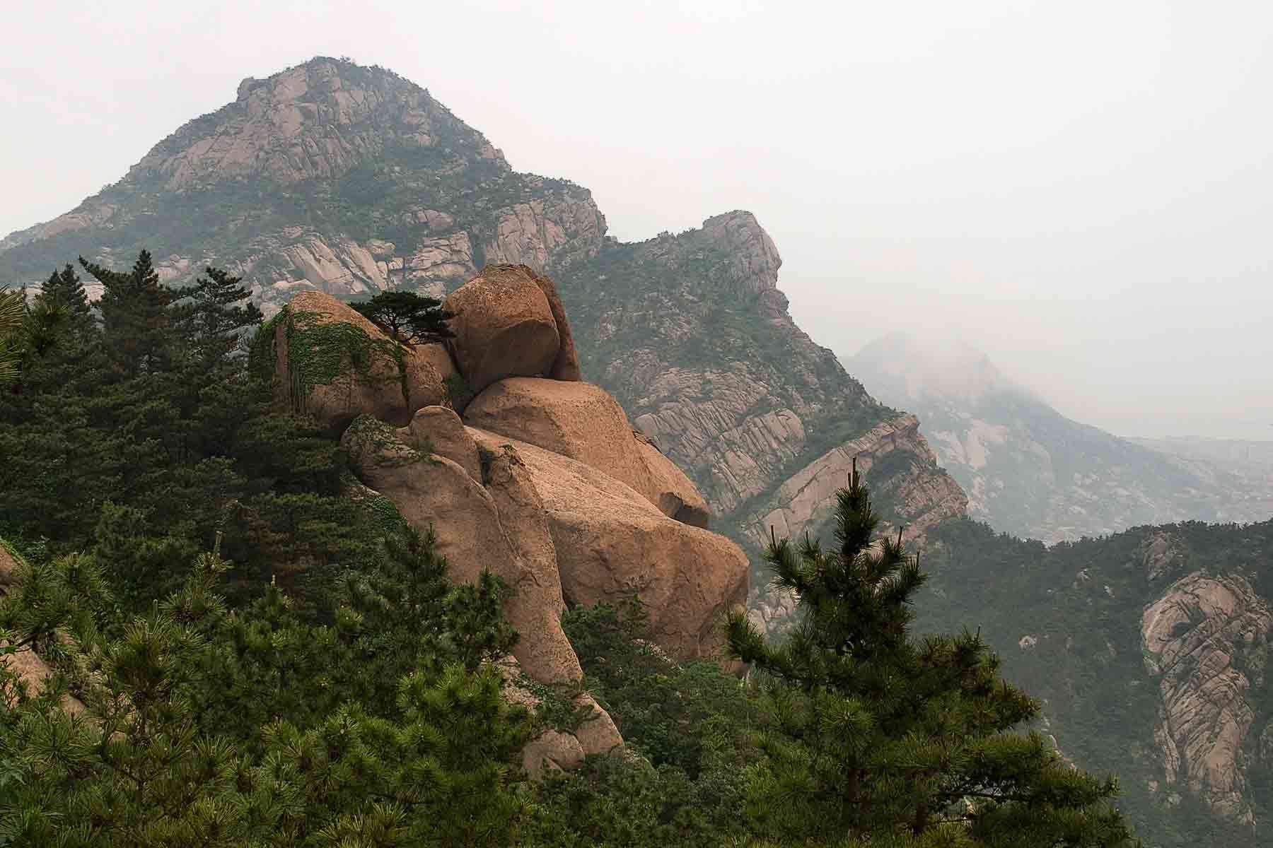 _A184734.jpg