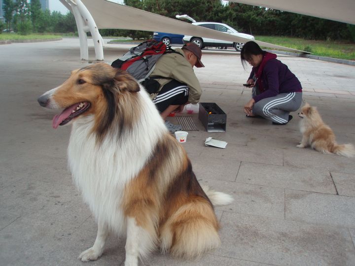 P1010070.JPG