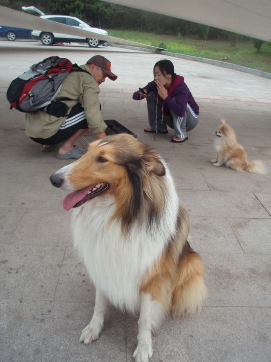 P1010071.JPG
