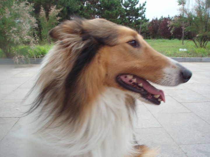 P1010073.JPG