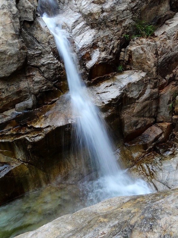 DSC01042.jpg