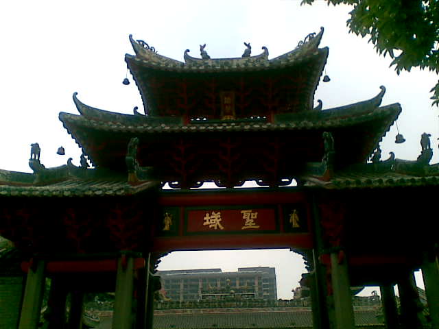 图像102.jpg