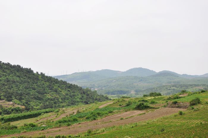 村边的山