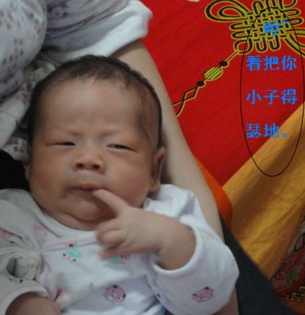 1107031232ad270b52a6d84833[1].jpg