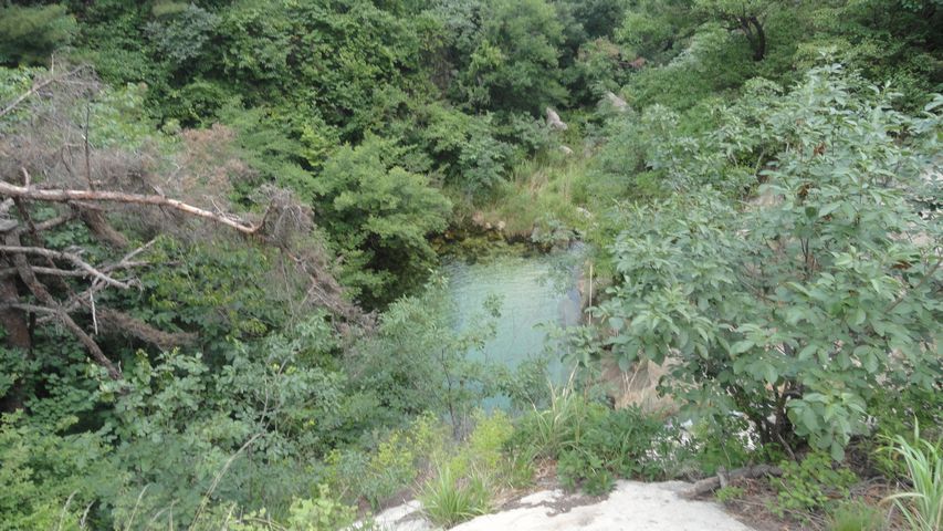 DSC02450.jpg