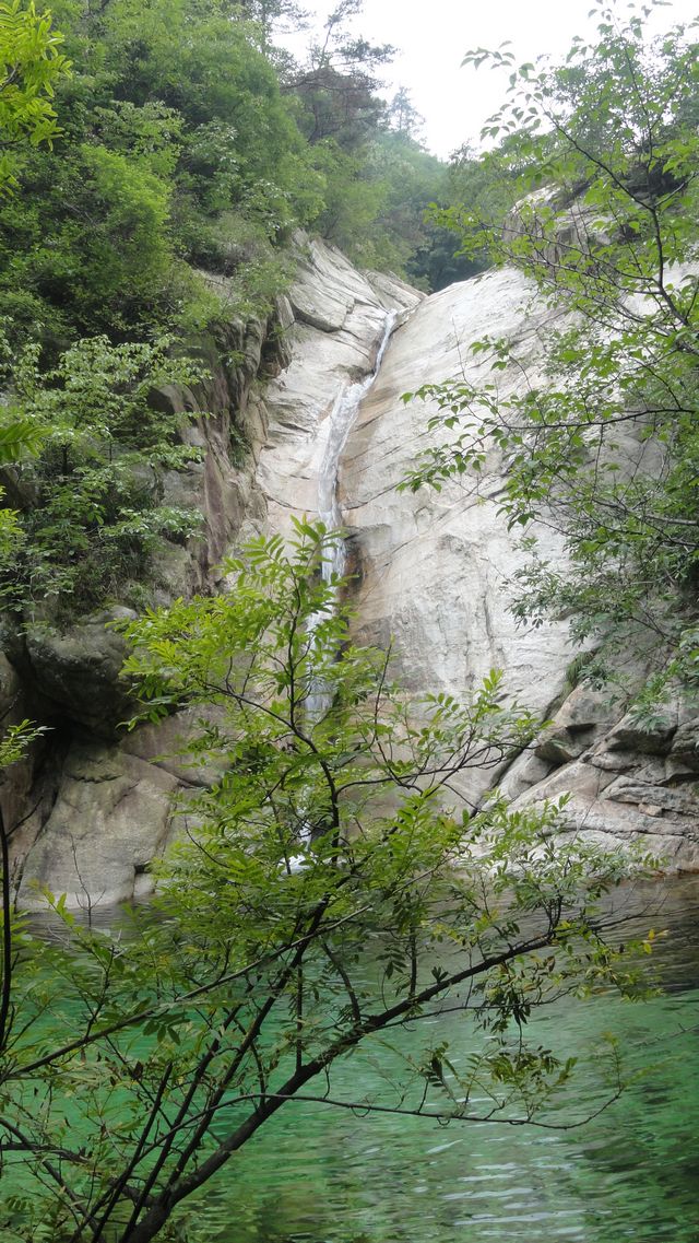 DSC02455.jpg