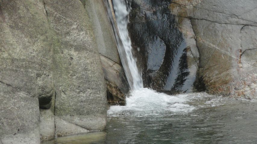 DSC02453.jpg