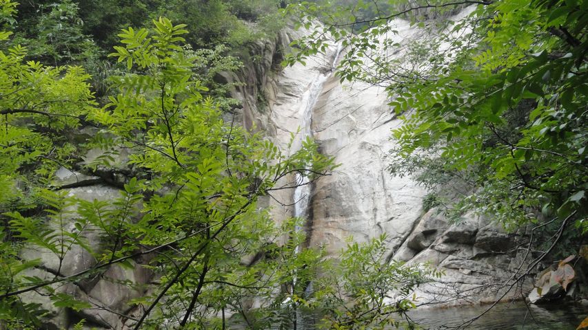 DSC02456.jpg