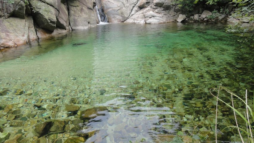 DSC02452.jpg