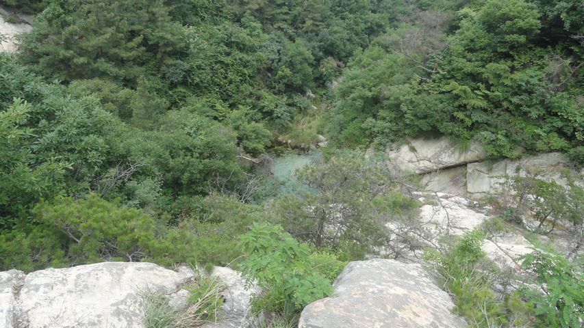 DSC02447.jpg