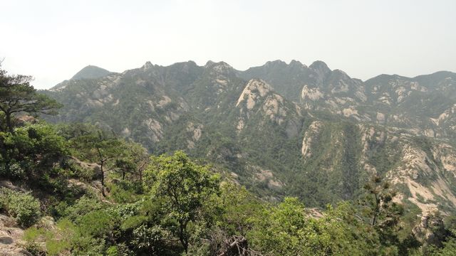 DSC02419.jpg