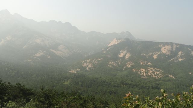 DSC02400.jpg