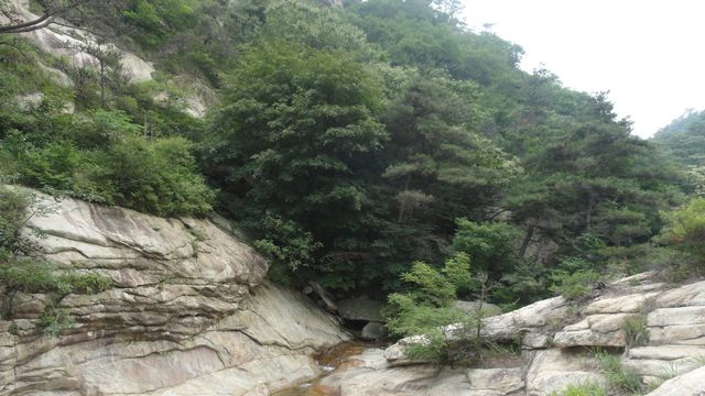 DSC02463.jpg