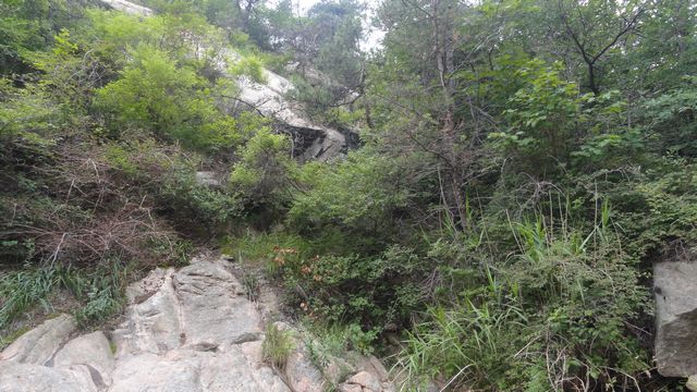 DSC02466.jpg