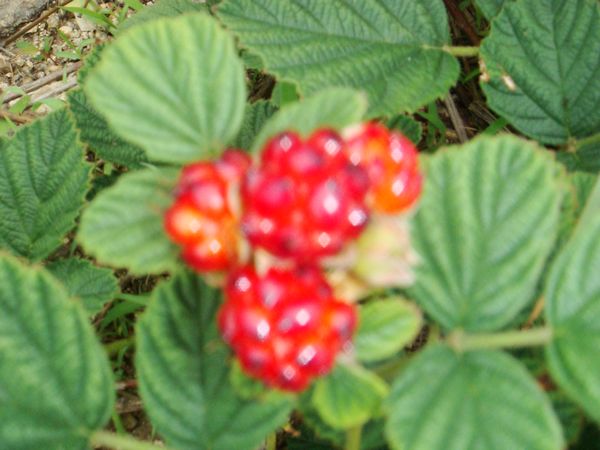 nEO_IMG_DSC03645.jpg