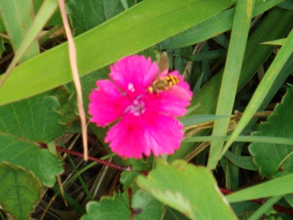 nEO_IMG_DSC03632.jpg