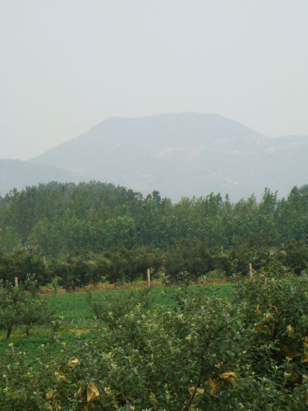 DSC03714.JPG