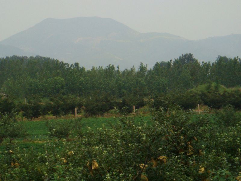DSC03713.JPG