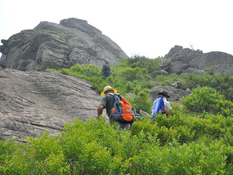 PhotoCap_117.jpg