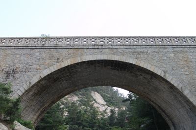 IMG_2954b7.jpg