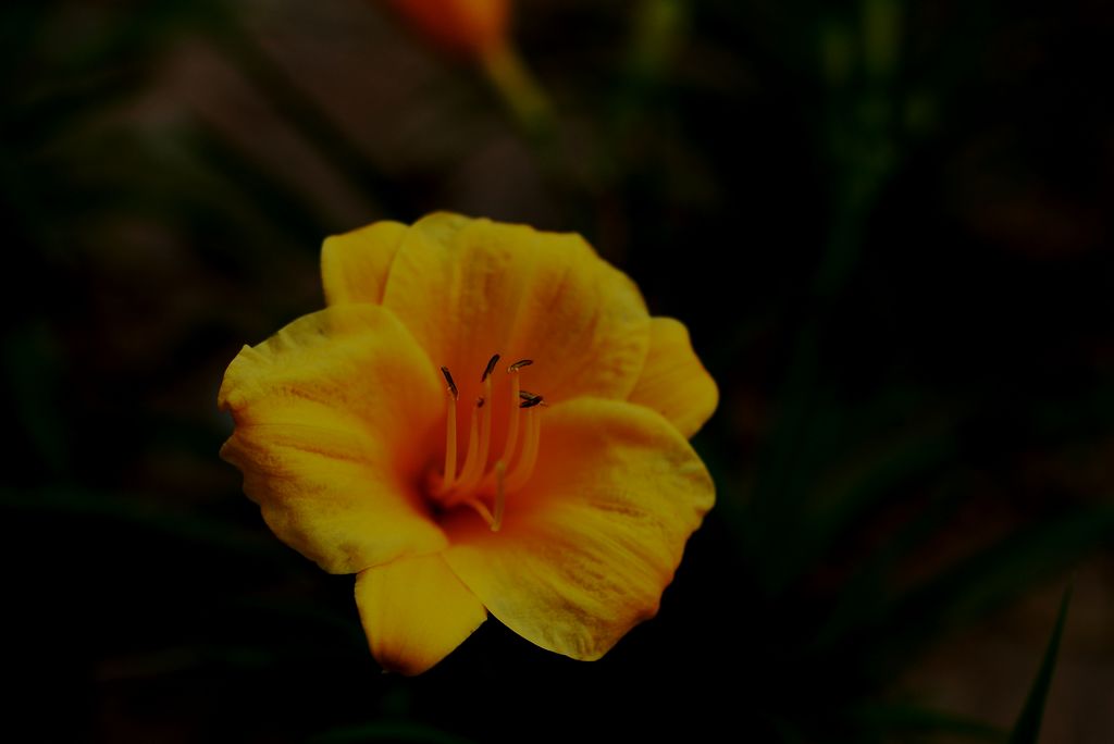 nEO_IMG_AAFD5583.jpg