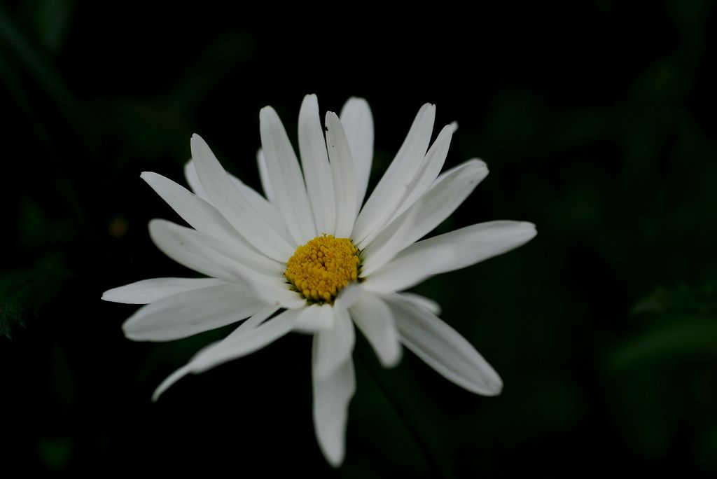 nEO_IMG_AAFD5592.jpg