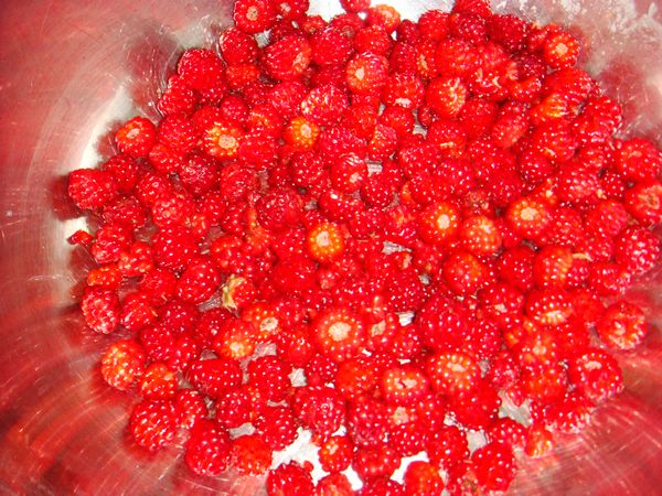 DSC03716.JPG