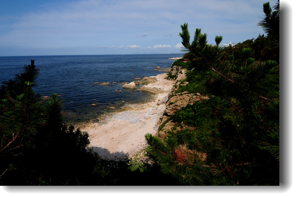 DSC_2567.jpg
